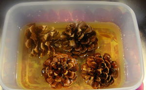 how to bleach your pinecones for an unusual beautiful effect, christmas decorations, crafts, decoupage, seasonal holiday decor